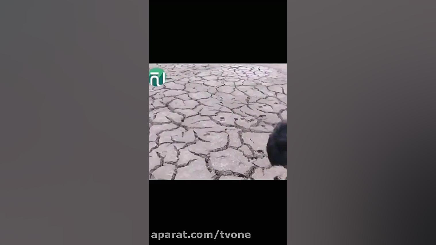 ببینید چجور از زیر زمین ماهی م...