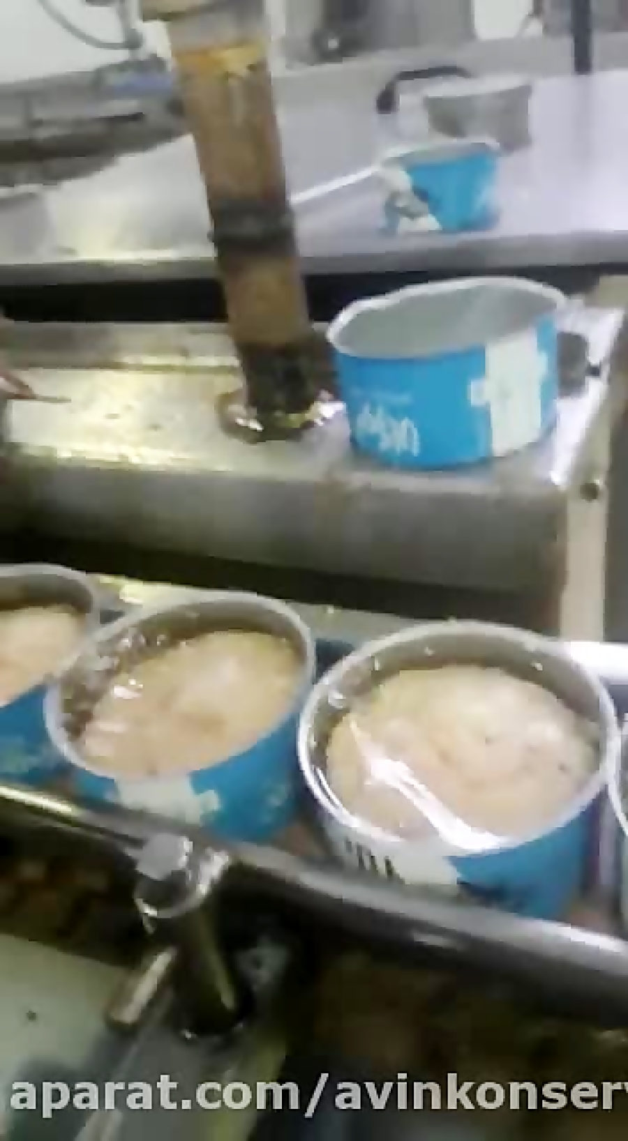 تولید کنسرو تن ماهی