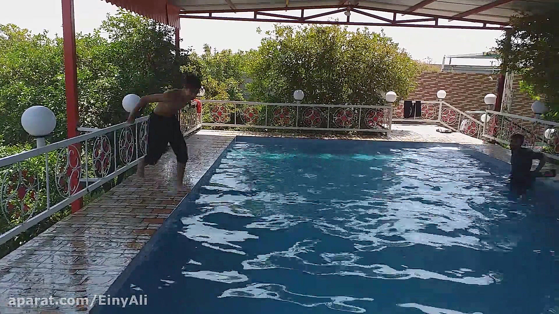 شنا در استخر با استاد عینی