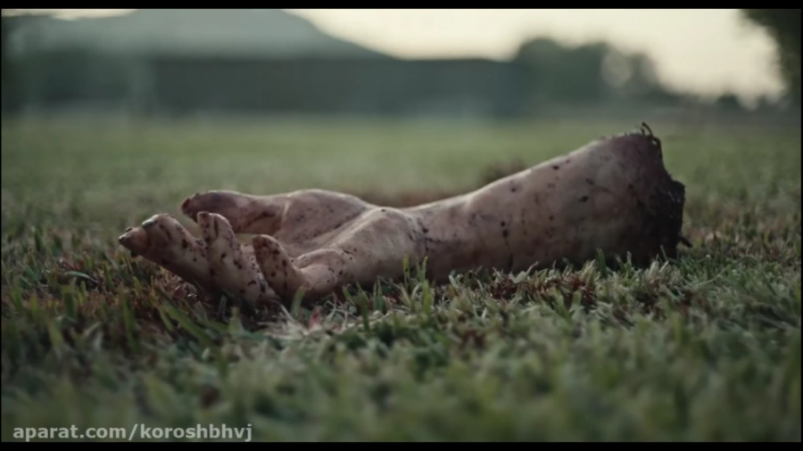 فیلم کوتاه ترسناک فاسد