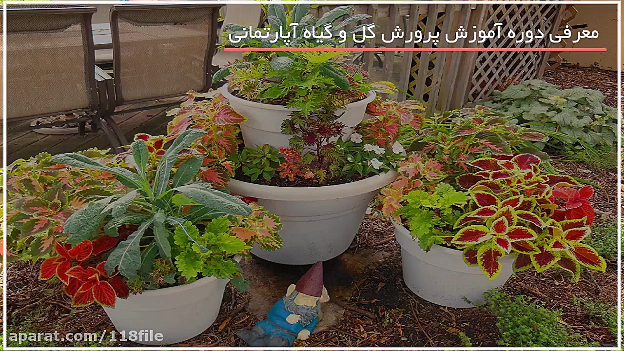 پرورش گل و گیاه | پرورش گیاهان...