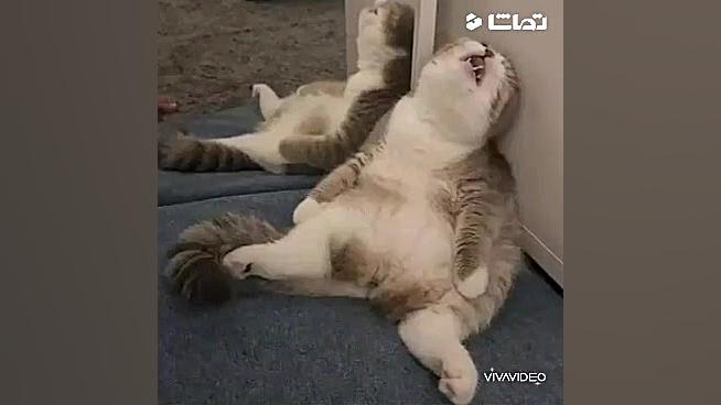 کلیپ خنده دار نوروز کرونایی چگ...