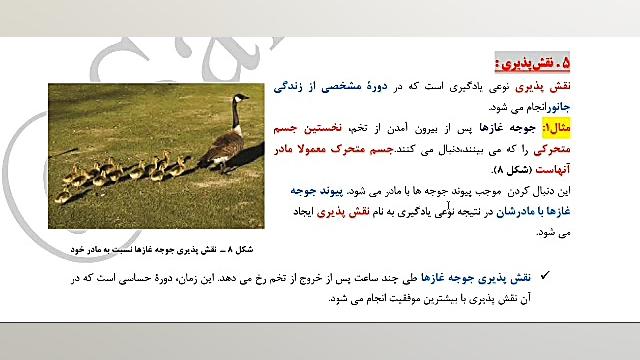 صالحی زیست گفتار 1 فصل 8 دوازد...