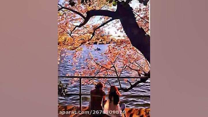 موسیقی اصیل  آهنگ قصه شب  خوان...