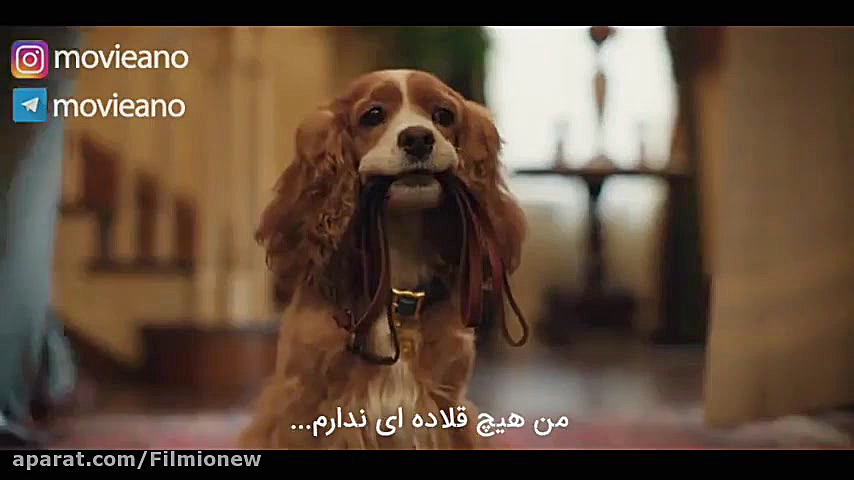 تریلر فیلم Lady and the Tramp...