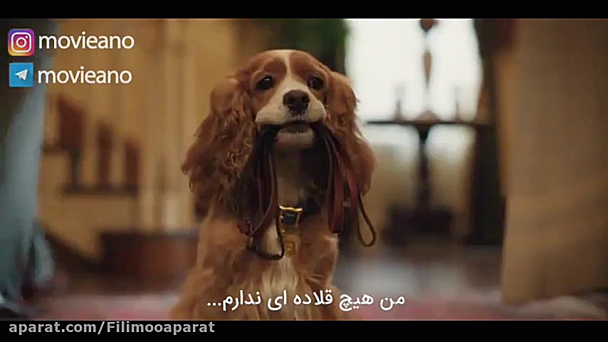 تریلر فیلم Lady and the Tramp...