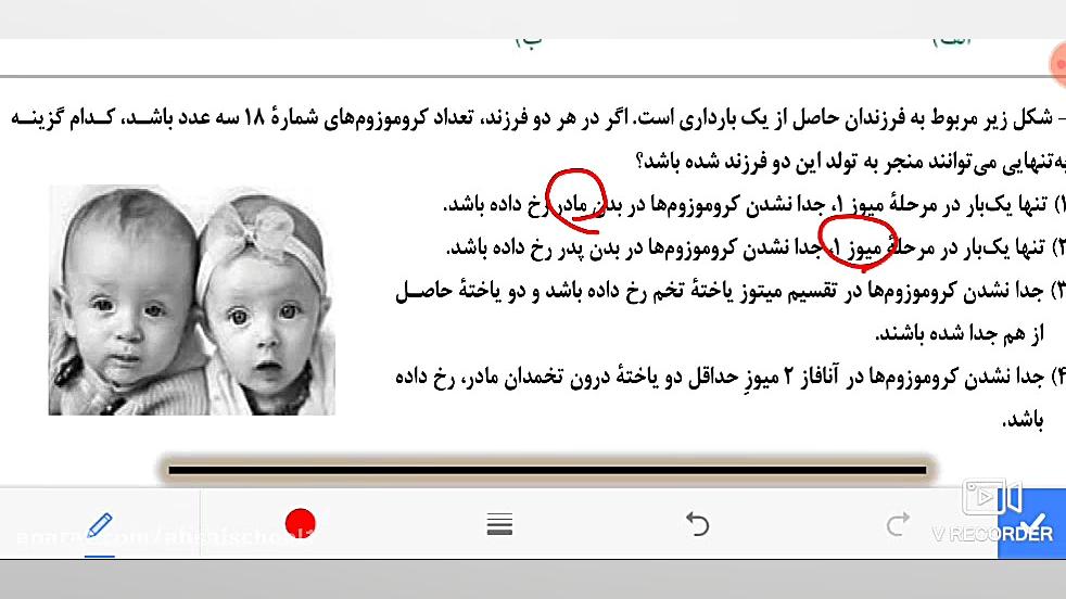 زیست یازدهم پارت هفتم فصل ۷