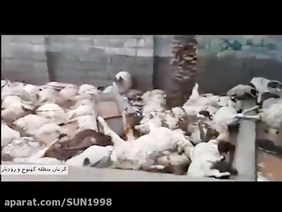 بار دیگر سیل کرمان را بهم ریخت