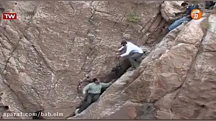 مستند خفاش ها ارائه شده توسط ش...