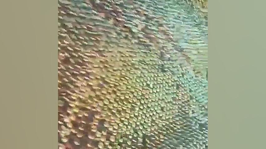 پارچه پولکی سه بعدی parche hed...