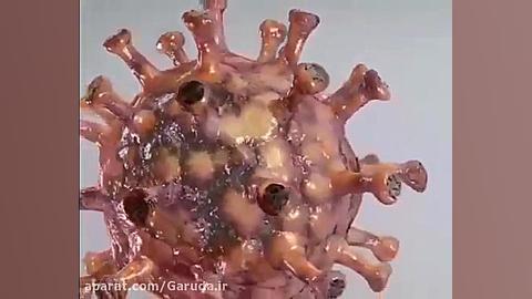 تصاویر سه بعدی و بزرگ شده ویرو...