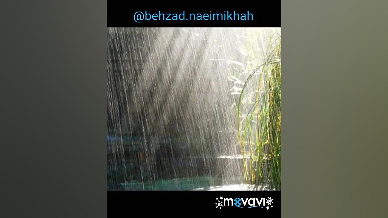 آرام باش عزیز من...