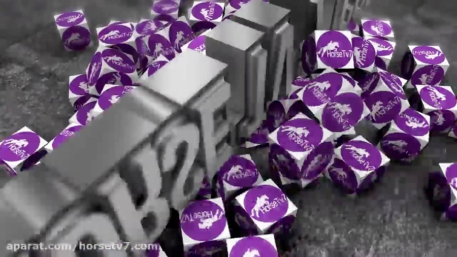 مسابقات سوارکاری Lyon 2019 سوا...