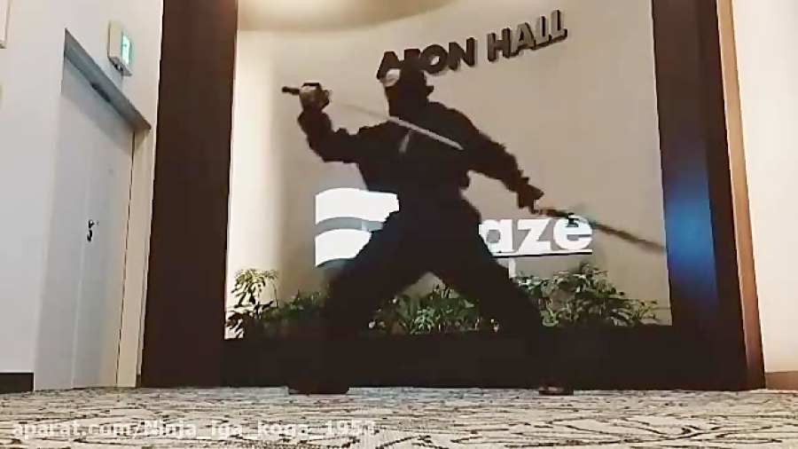 اکروبات نینجا