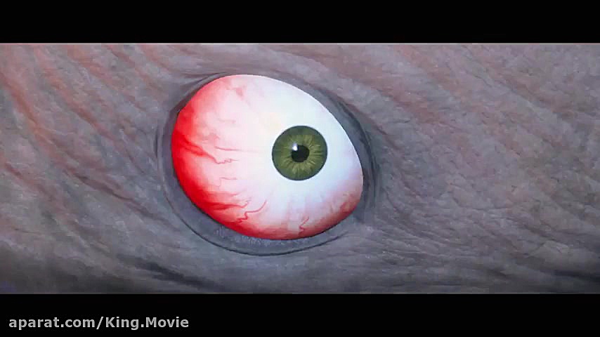 انیمیشن سینمایی (پنگوئن ببری)...