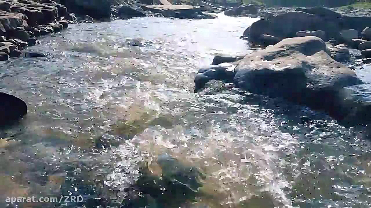 صدای پای آب