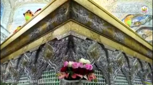 ضریح حرم امام حسین (ع) گل آرای...
