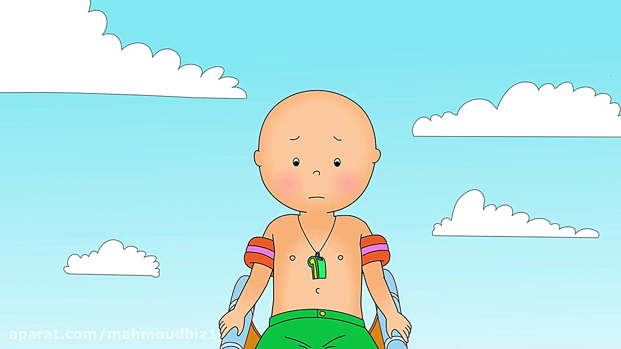 ★NEW★ CAILLOU AND THE THE ANNI...