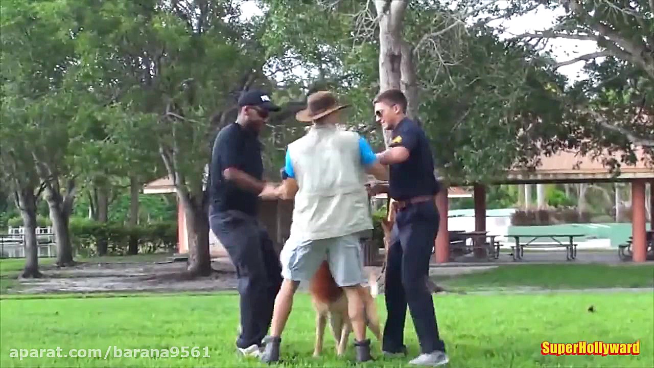 سگه شیر نما دوربین مخفی