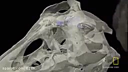 شباهت حیوانات و دایناسور ها