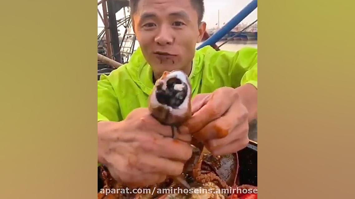 خوردن اختاپوس توسط یه چینی