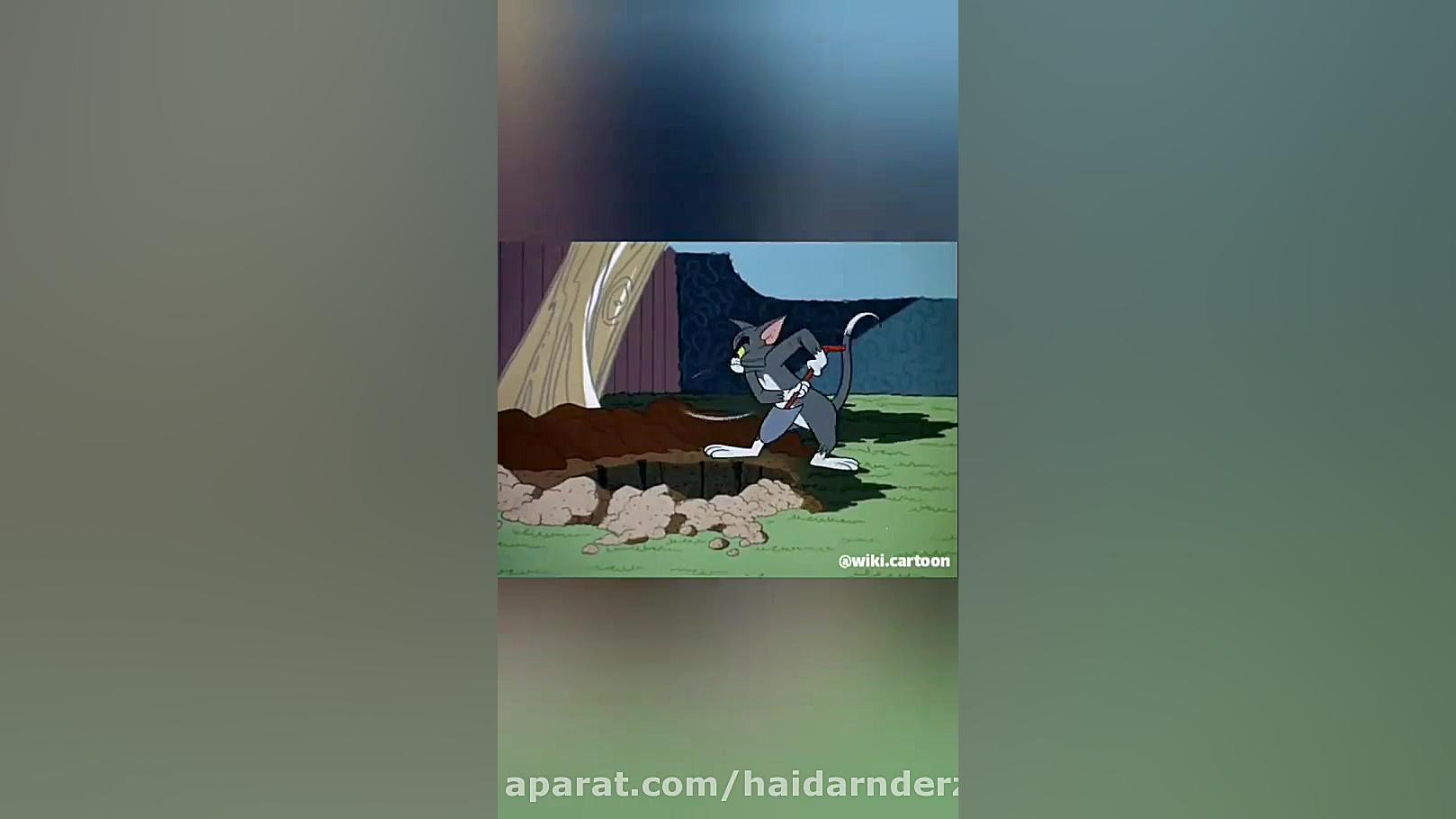 کارتون تام وجری