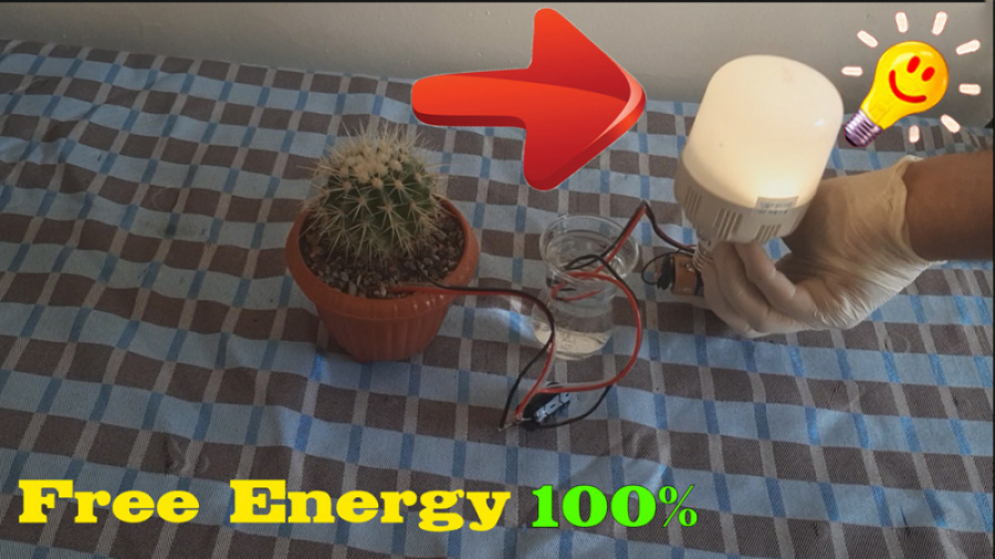 روشن کردن لامپ 220 ولت با گیاه...