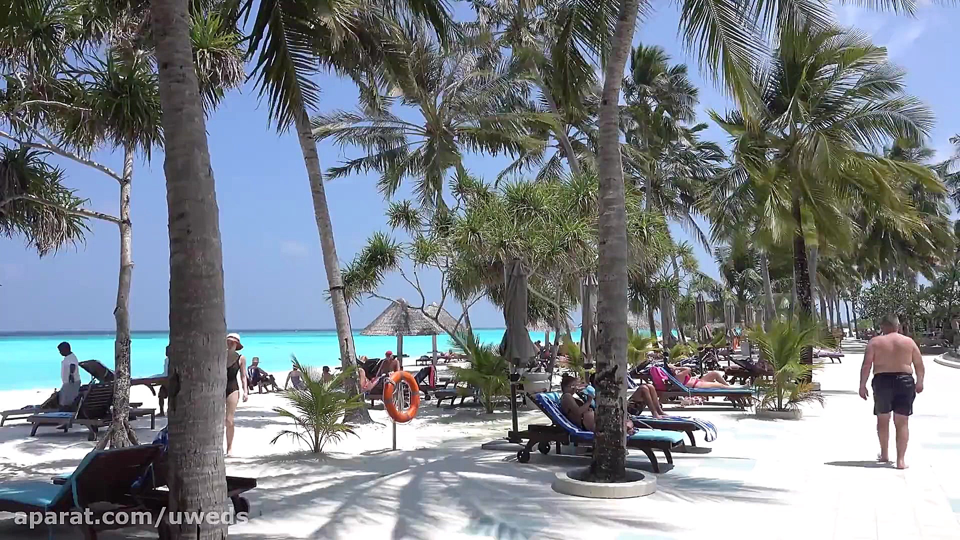 ویدیو کلیپ طبیعت ساحلی کیفیت ب...