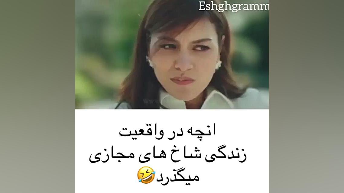 واقعیت شاخ های مجازی