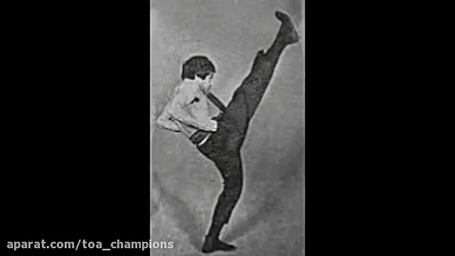 فلسفه ضربه کیتو