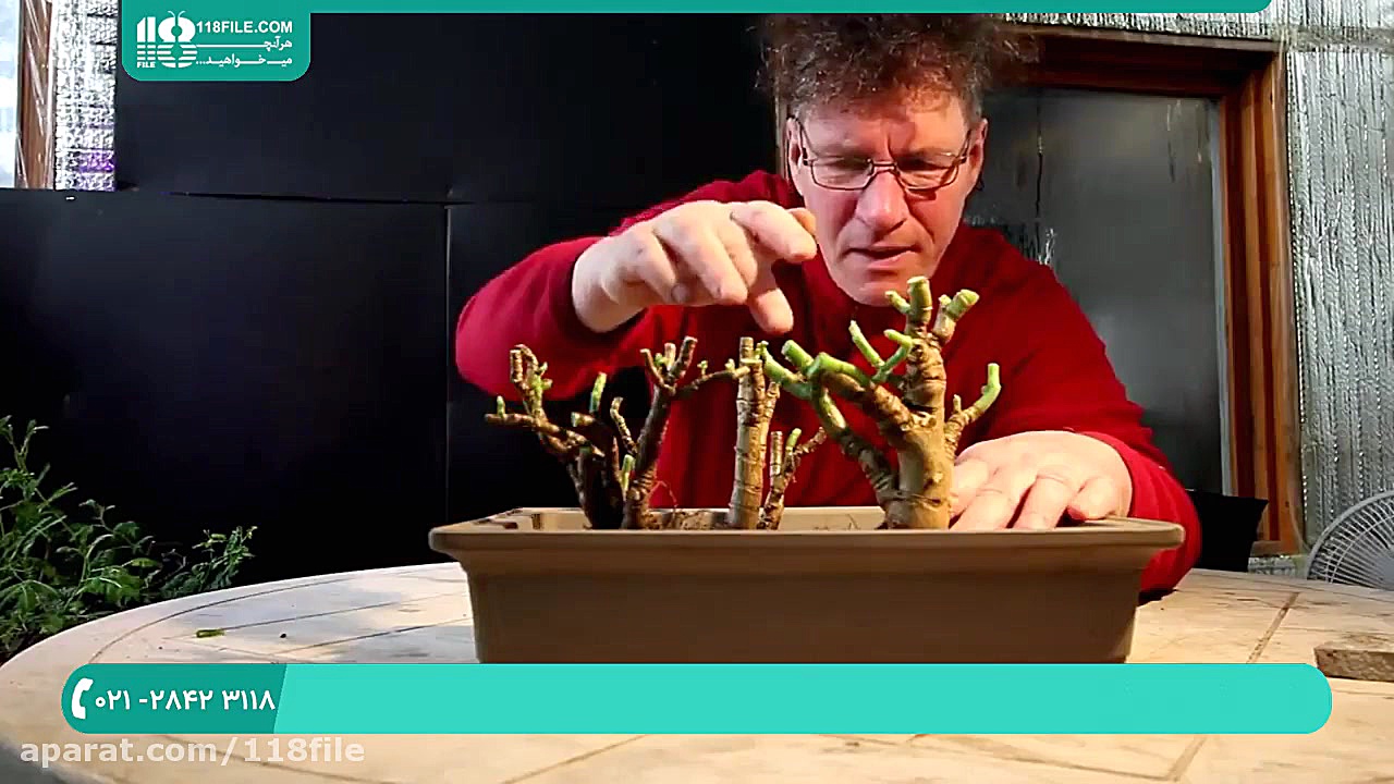 پرورش گل و گیاه | آموزش پرورش...