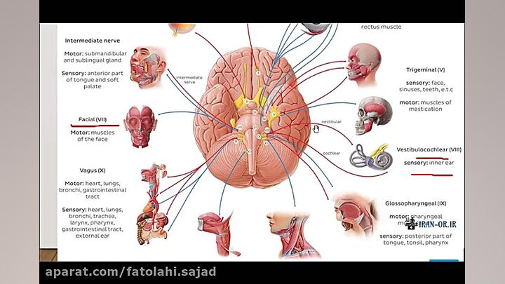 جلسه چهارم درس تکنولوژی جراحی...