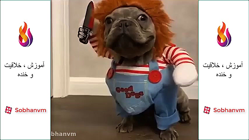 کلیپ خنده داره 001 | طنز و سرگ...