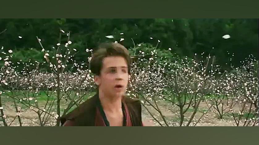 دانلود فیلم رزمی Forbiden king...