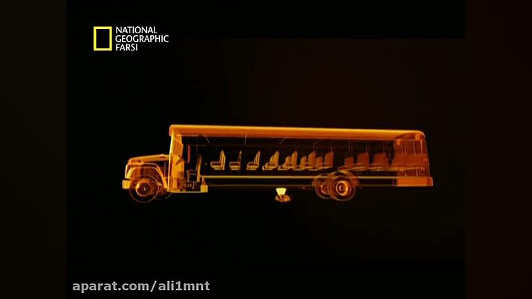 حیات وحش حیوانات با کیفیت عالی