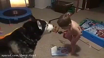 خنده بچه و سگ