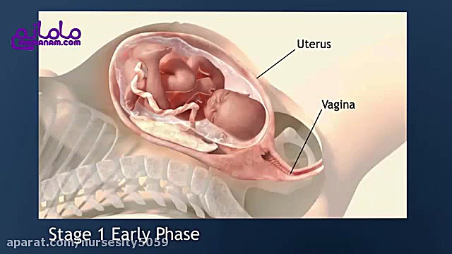 فیلم مراحل زایمان طبیعی
