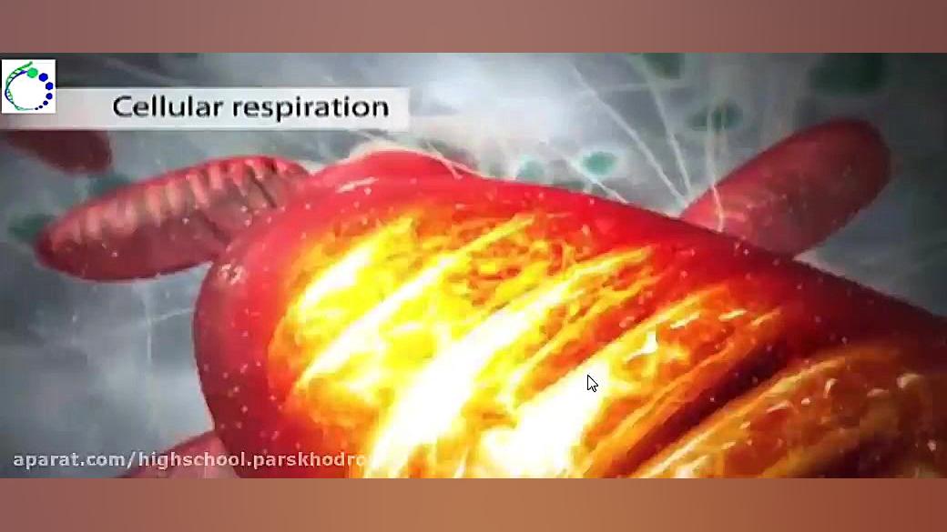 آموزش علوم پایه هفتم فیلم آموز...