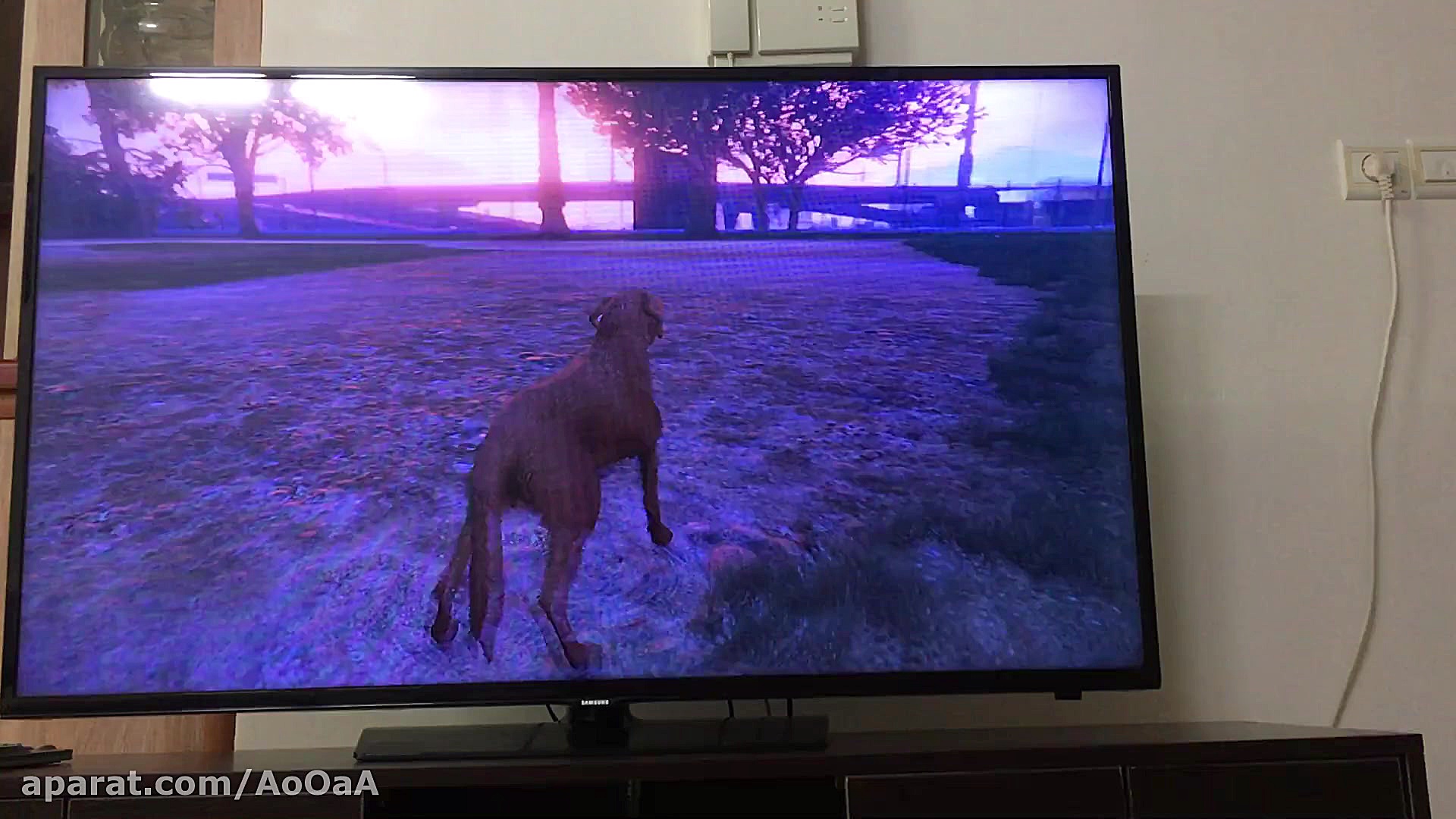 مکان گیاه جادویی در بازی GTA V