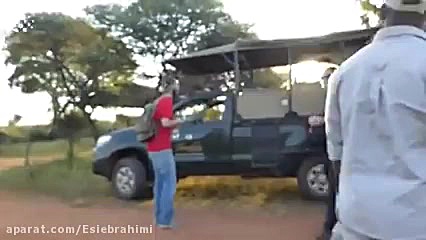 حمله حیوانات در سافاری
