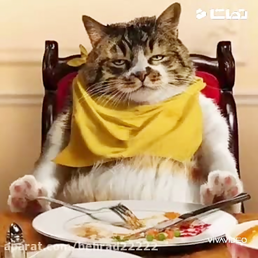 نوروز امسال چطور بود لایک کن