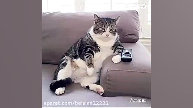 نوروز امسال چطور بود لایک کن