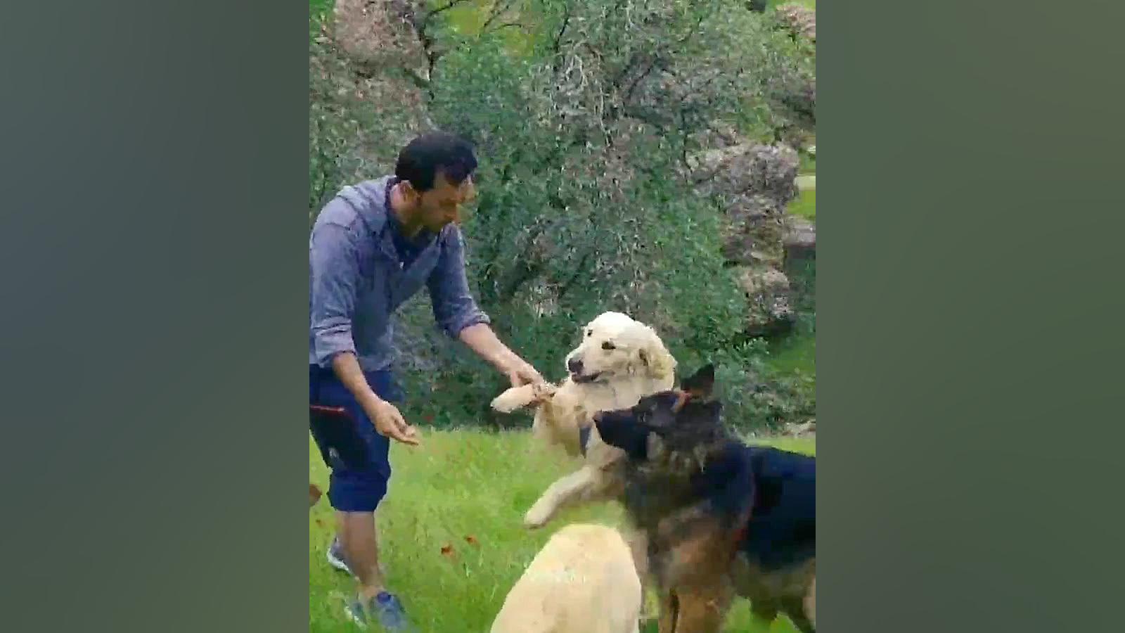 تولدت مبارک