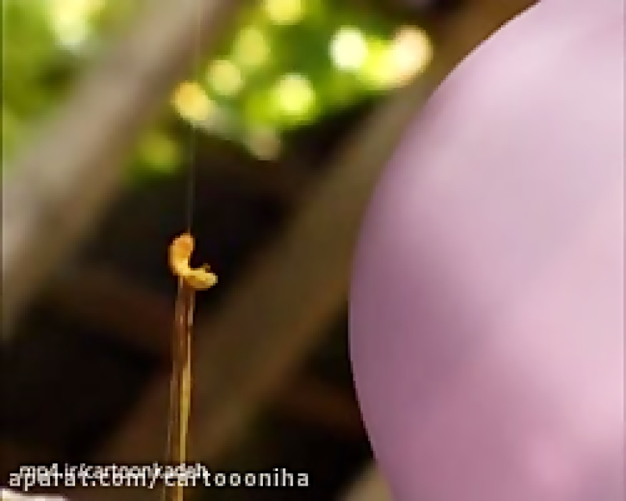 کارتون زندگی حشرات | قسمت 59