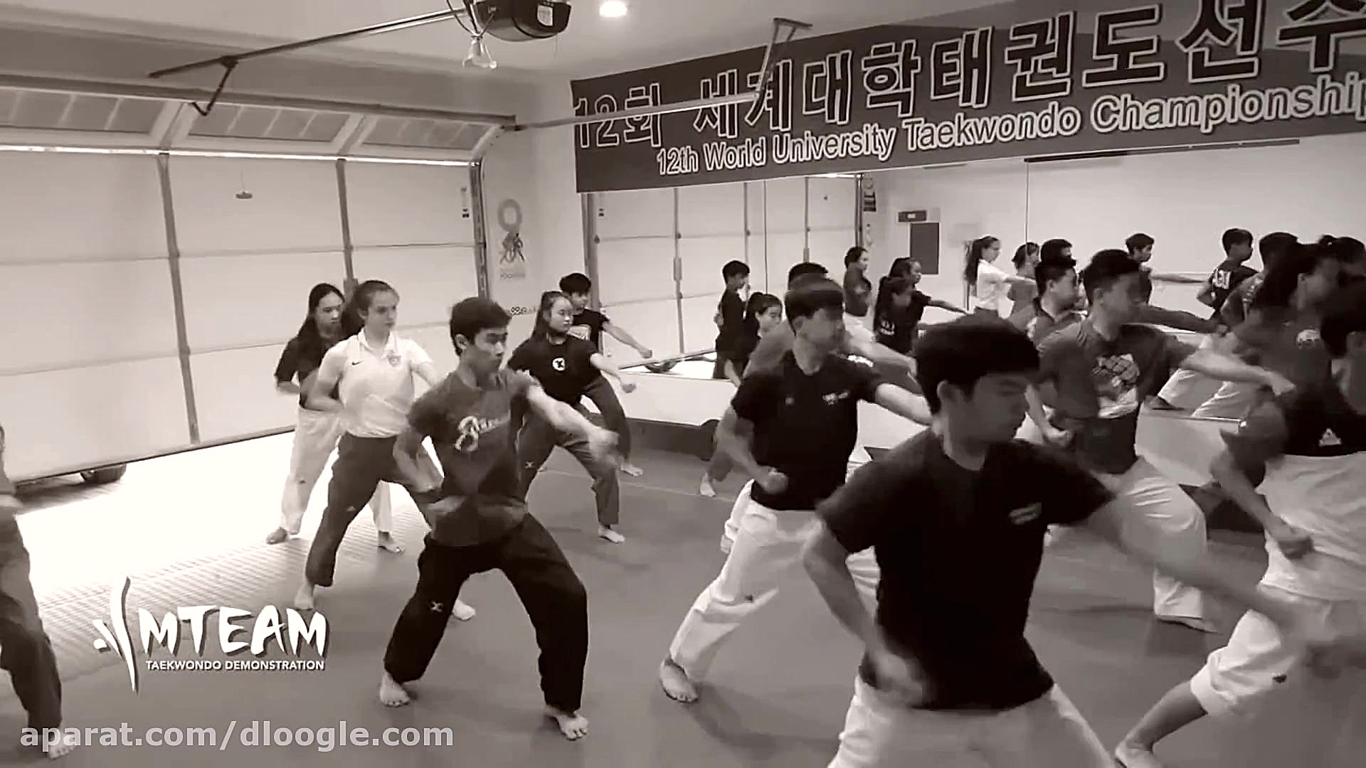 حرکات بسیار زیبا از ورزش رزمی...