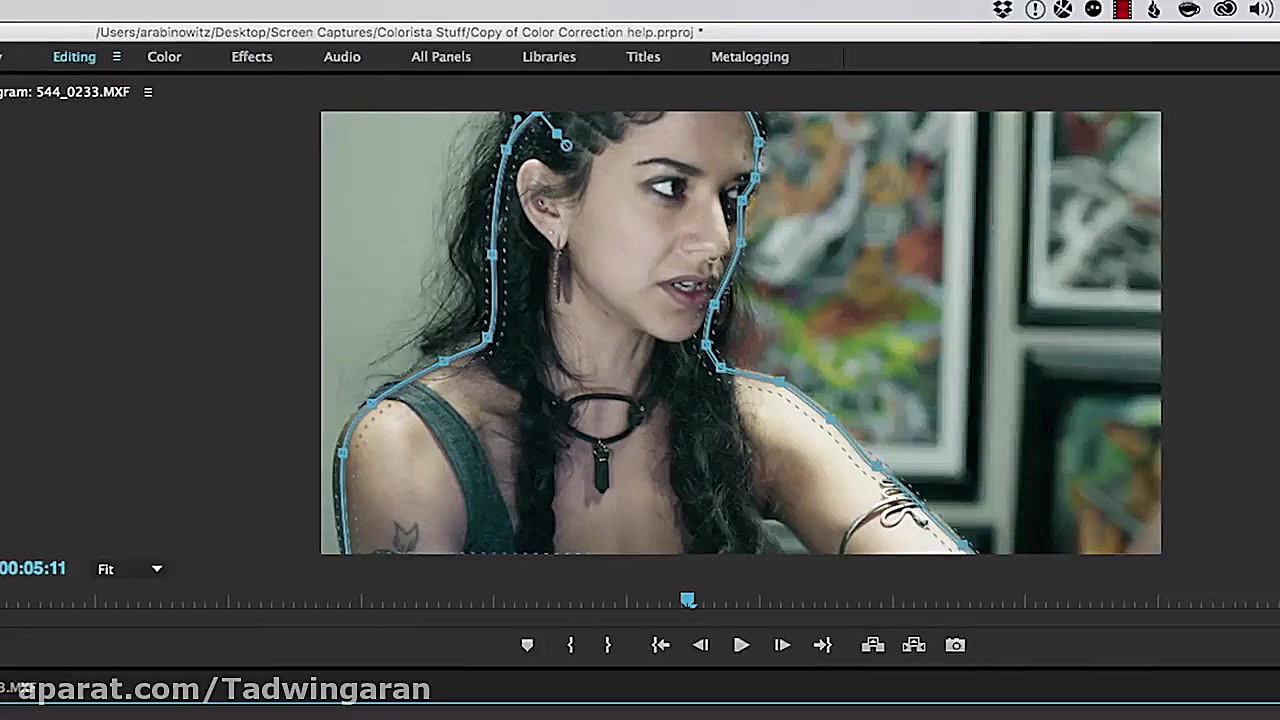 مجموعه پلاگین Magic Bullet Sui...