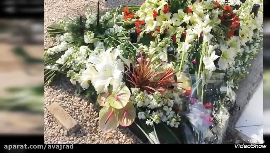 زنده یاد محمدرضا جلالی راد قهر...