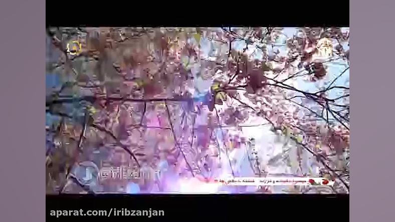 ترانه بهار آمد