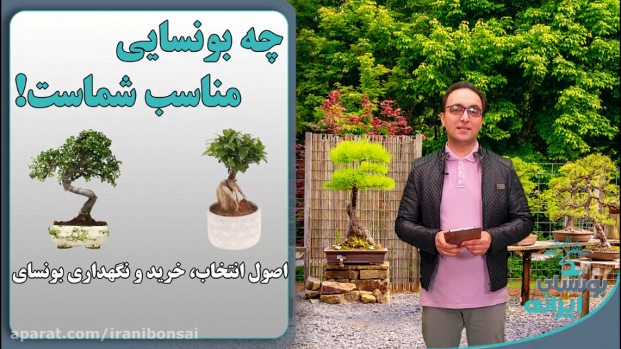 قبل از خرید بونسای حتما این وی...