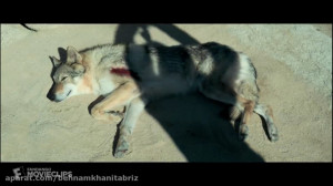 تیزر فیلم سینمایی " آلفا...